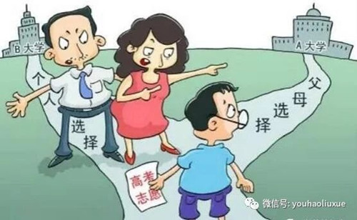 高考,艺术生高考,高考志愿,艺考,填报志愿,高考填报志愿,专业录取