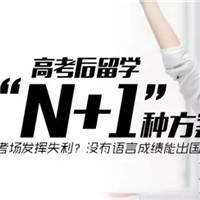 艺术生高考失利后的N＋1种解决方案