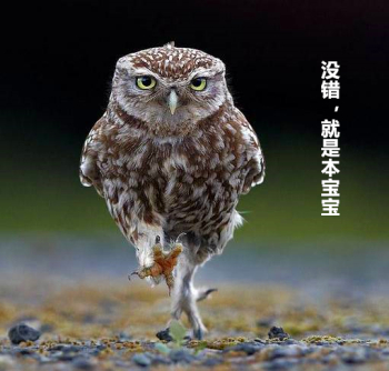 mp60811398_1456536478846_13_副本.jpg