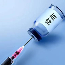 国务院官宣:国产疫苗正式开始接种!留学生是优先接种对象!