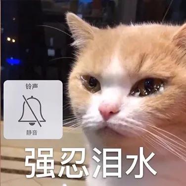 雅思,雅思考试,雅思考位,UKVI和机考考试,雅思考点,雅思报名官网