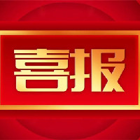 疫情之下来之不易的签证和录取!