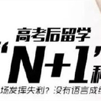 高考后,本科留学N+1种方案来了!