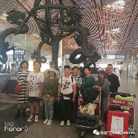 初见比得哥熙,似曾相识……