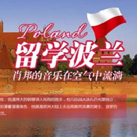 波兰，从小天才班到音乐表演博士全阶段，音乐留学的最佳选择 