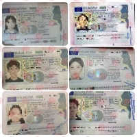 德国音乐学院副科考试一招儿通过!只需这堂课!