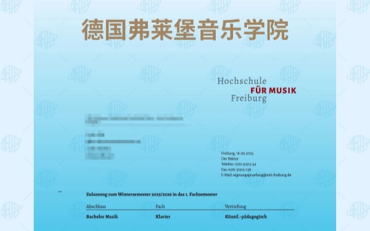 德国冬季学期开考即 “上岸”？这封弗莱堡 offer 来自川音附中的她
